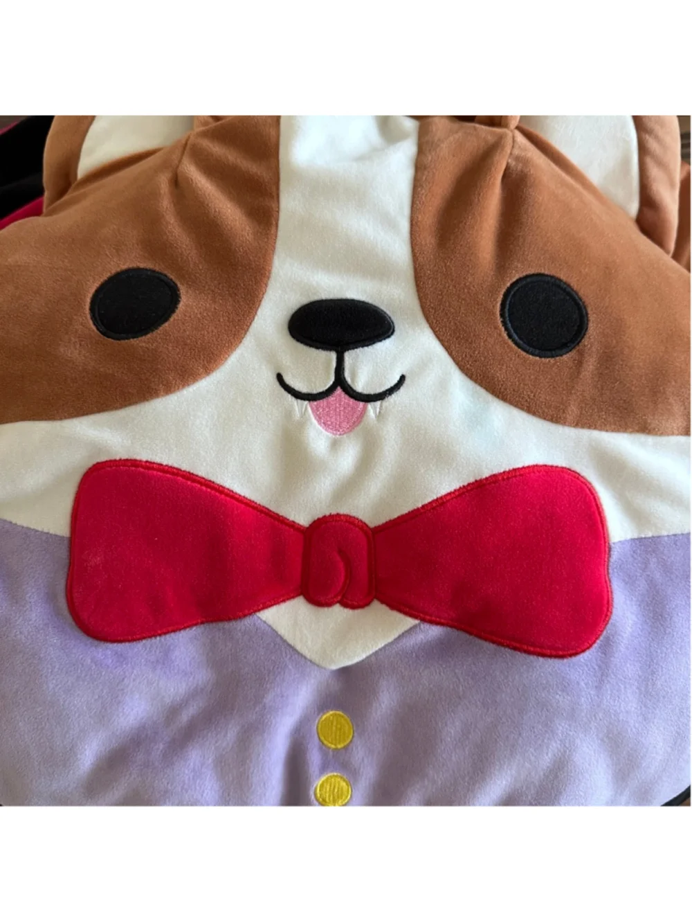 Squishmallows “vampire corgi”